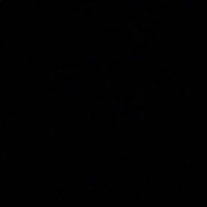 Meet your Posher, Toan